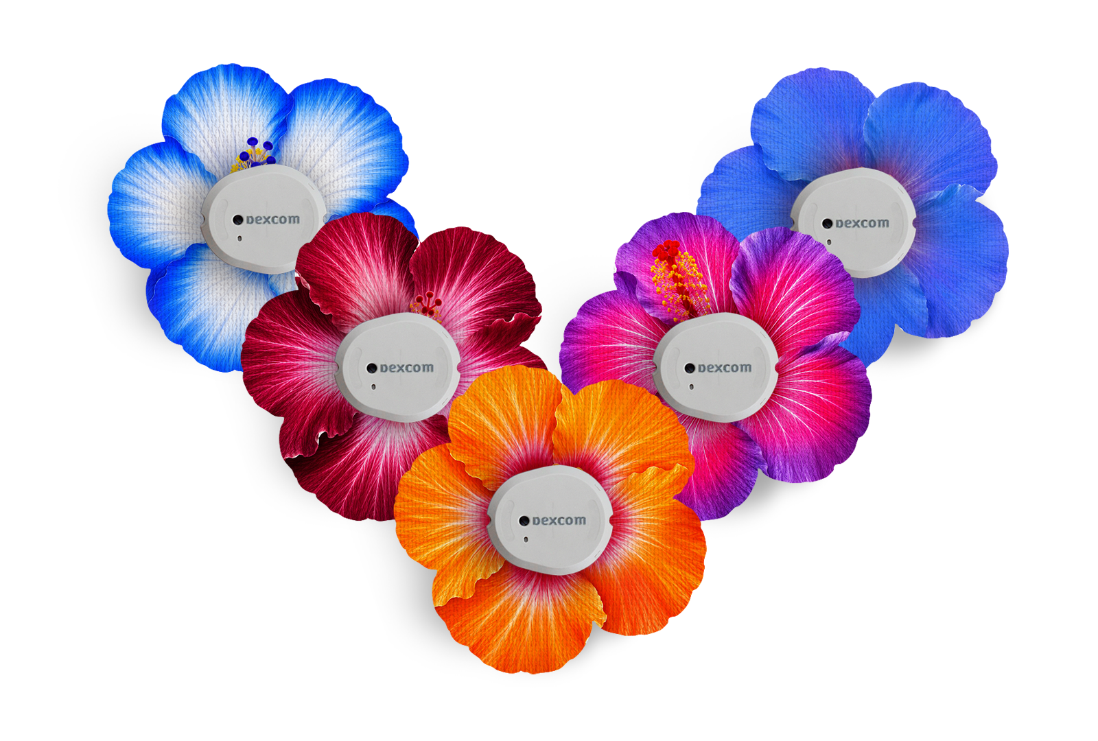 Hibiscus Patch Pack for Dexcom G7 / One+ diabetes supplies and insulin pumps