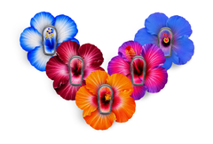Hibiscus Patch Pack for Dexcom G6 / One diabetes supplies and insulin pumps