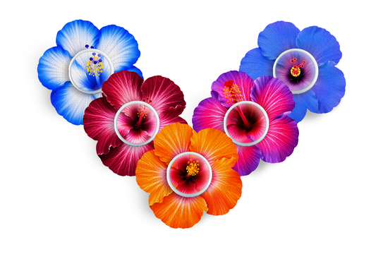 Hibiscus Patch Pack for Freestyle Libre diabetes supplies and insulin pumps