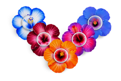 Hibiscus Patch Pack for Freestyle Libre diabetes supplies and insulin pumps