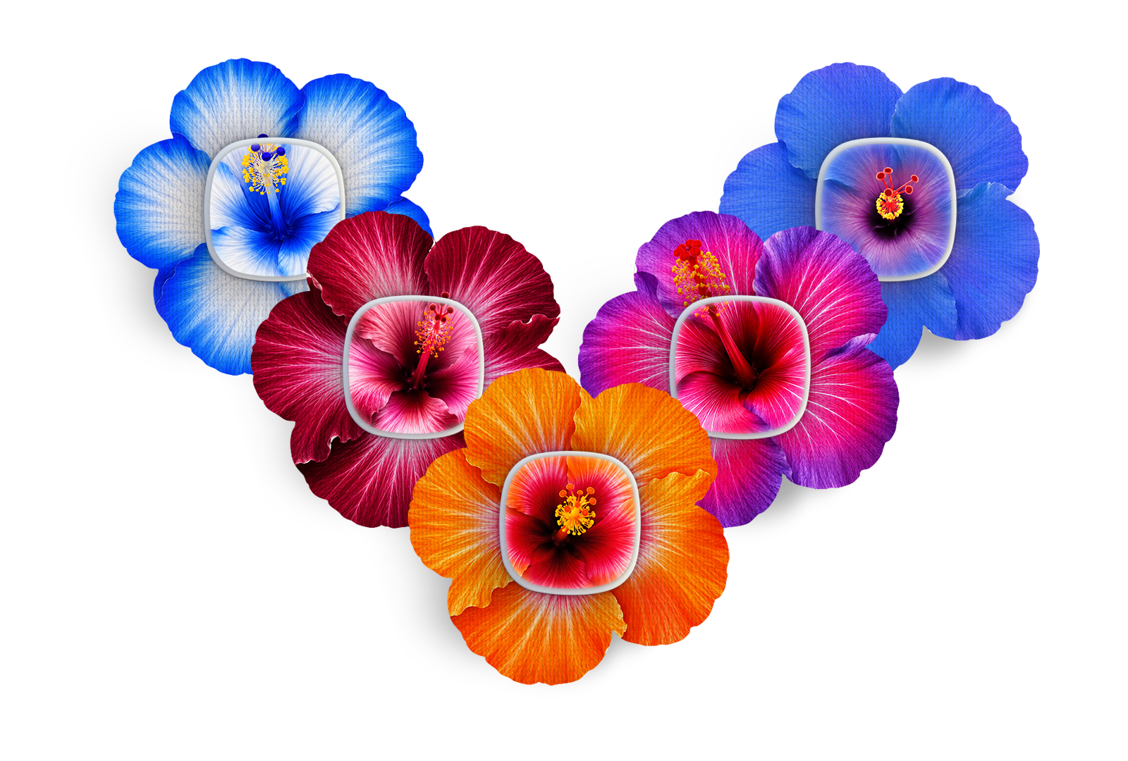 Hibiscus Patch Pack for Simplera diabetes supplies and insulin pumps