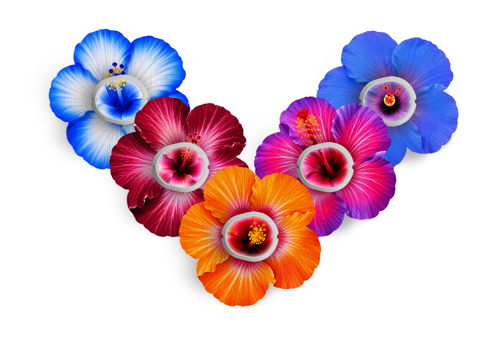 Hibiscus Patch Pack for Dexcom G7 / One+ diabetes supplies and insulin pumps