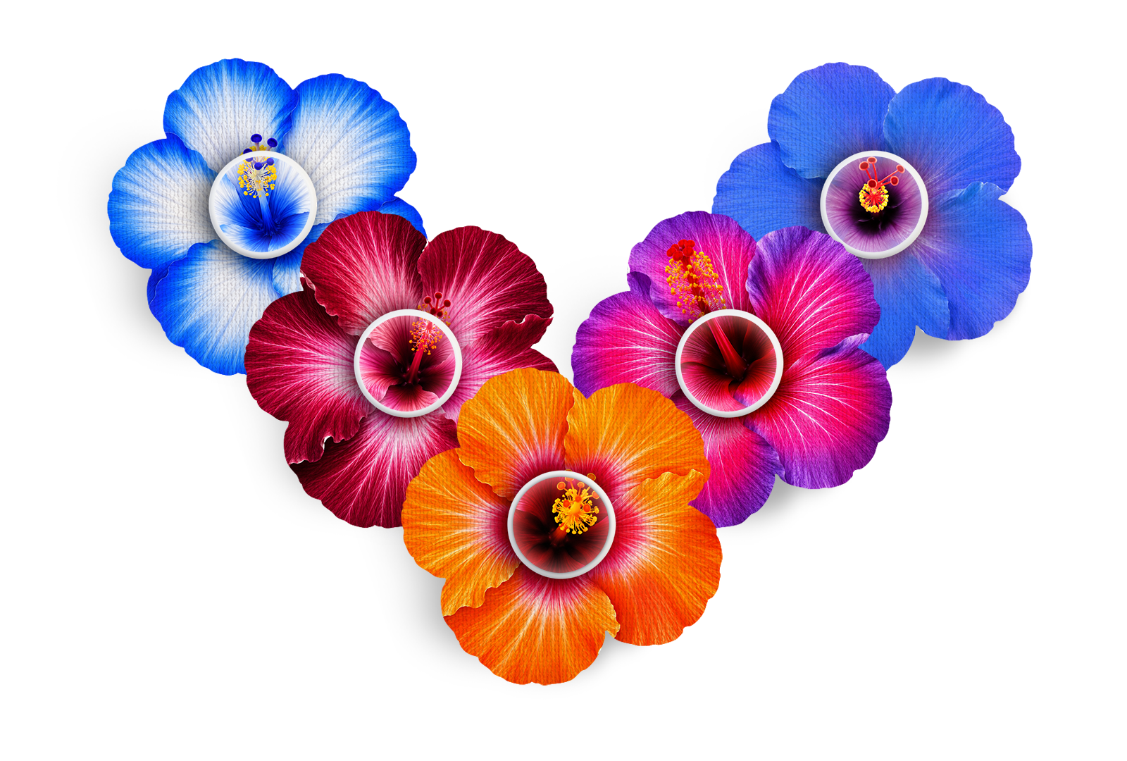 Hibiscus Patch Pack for Libre 3 diabetes supplies and insulin pumps