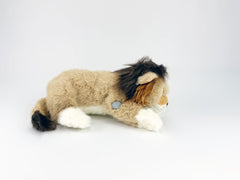 Leo the Lion for Standard diabetes supplies and insulin pumps