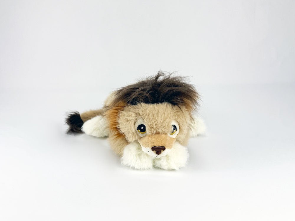 Leo the Lion for Standard diabetes supplies and insulin pumps