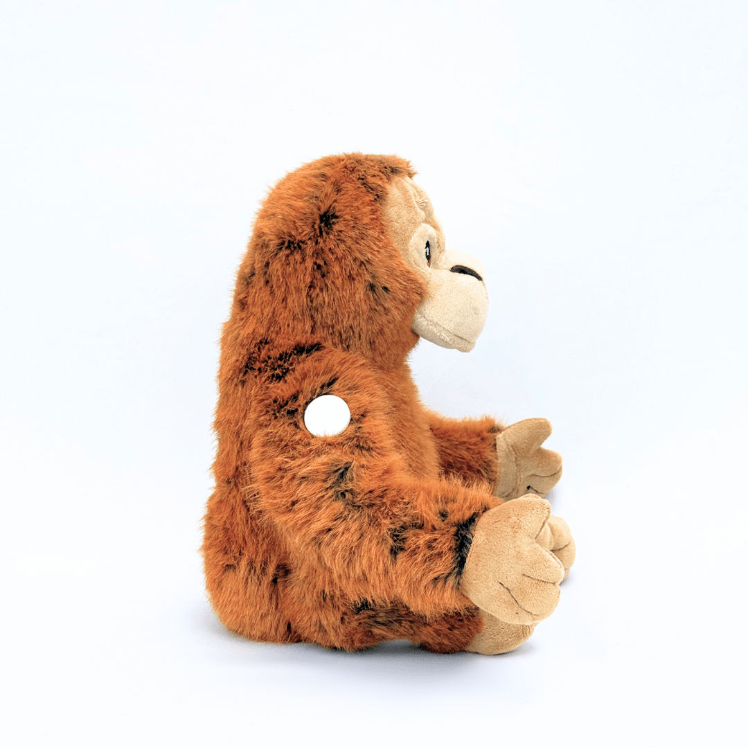 Ollie the Orangutan for Freestyle Libre 2 diabetes supplies and insulin pumps