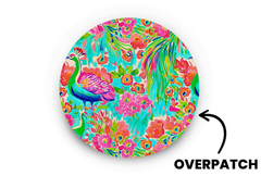 Peacock Patch for Generic Overpatch diabetes supplies and insulin pumps
