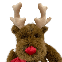 Rudolph the Reindeer for Freestyle Libre 2 diabetes supplies and insulin pumps