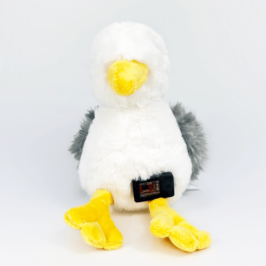 Sophie the Seagul for Freestyle Libre 2 diabetes supplies and insulin pumps