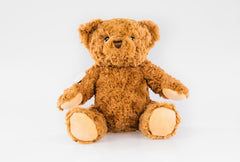 Buddy the Bear for GlucoRX Aidex diabetes CGMs and insulin pumps