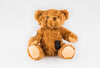 Buddy the Bear for No CGM diabetes CGMs and insulin pumps
