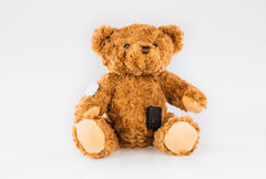 Buddy the Bear for No CGM diabetes CGMs and insulin pumps