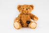 Buddy the Bear for GlucoRX Aidex diabetes CGMs and insulin pumps