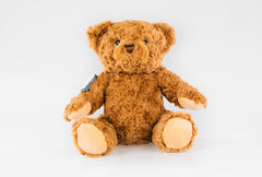 Buddy the Bear for Dexcom G6 diabetes CGMs and insulin pumps