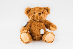 Buddy the Bear for Dexcom G6 diabetes CGMs and insulin pumps