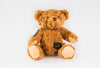 Buddy the Bear for Dexcom G6 diabetes CGMs and insulin pumps