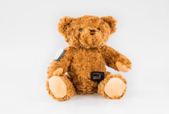 Buddy the Bear for Dexcom G6 diabetes CGMs and insulin pumps