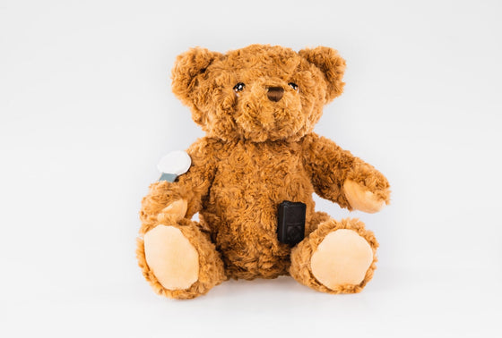 Buddy the Bear for Guardian 3 diabetes CGMs and insulin pumps