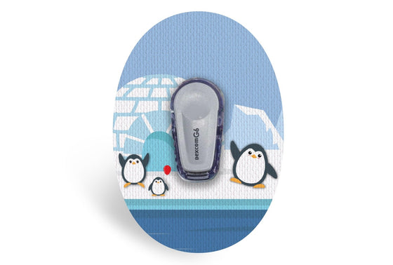 Chilly Penguin Patch for Dexcom G6 diabetes CGMs and insulin pumps