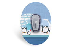 Chilly Penguin Patch for Dexcom G6 / One diabetes CGMs and insulin pumps