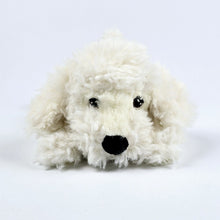  Harry the Puppy for Freestyle Libre 2 diabetes supplies and insulin pumps