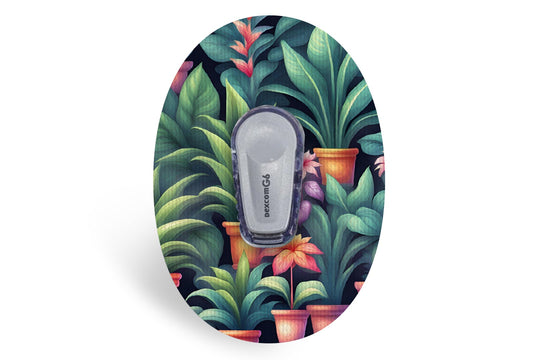 House Plant Patch - Dexcom G6 / One for Single diabetes supplies and insulin pumps