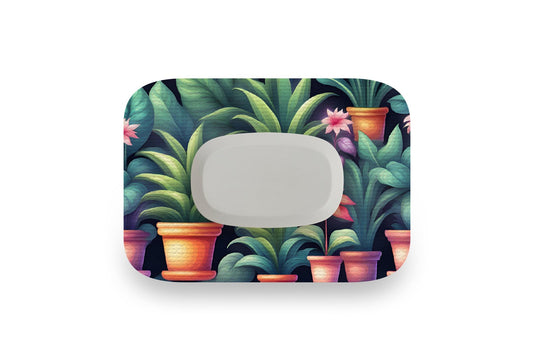 House Plant Patch - GlucoRX Aidex for Single diabetes supplies and insulin pumps