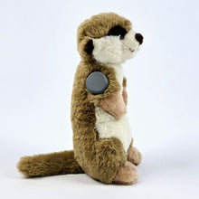  Milo the Meerkat for Freestyle Libre 2 diabetes supplies and insulin pumps