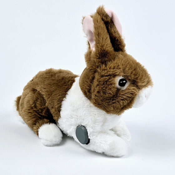 Peter the Rabbit for Freestyle Libre 2 diabetes supplies and insulin pumps