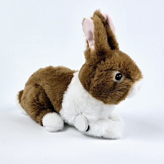 Peter the Rabbit for Freestyle Libre 2 diabetes supplies and insulin pumps