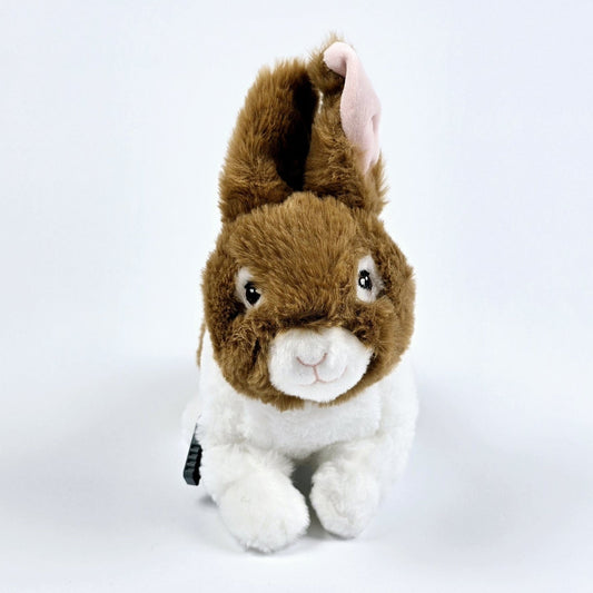 Peter the Rabbit for Freestyle Libre 2 diabetes supplies and insulin pumps