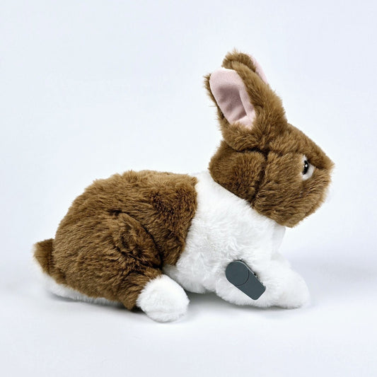 Peter the Rabbit for Freestyle Libre 2 diabetes supplies and insulin pumps