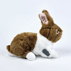 Peter the Rabbit for Freestyle Libre 2 diabetes supplies and insulin pumps