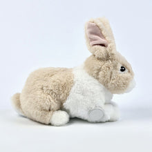  Riley the Rabbit for Freestyle Libre 2 diabetes supplies and insulin pumps