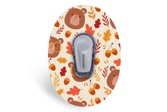 Teddy Bear Patch for Dexcom G6 / One diabetes CGMs and insulin pumps