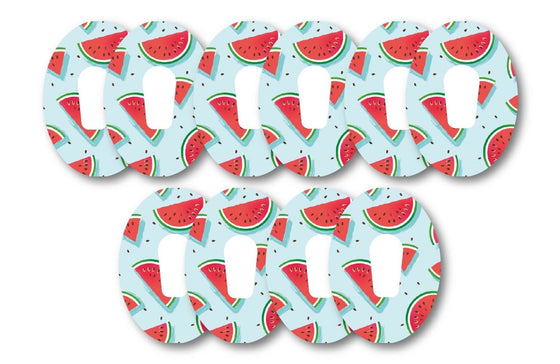 Watermelon Patch Pack for Dexcom G6 - 10 Pack diabetes CGMs and insulin pumps