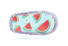  Watermelon Sticker - Dexcom Transmitter for diabetes CGMs and insulin pumps