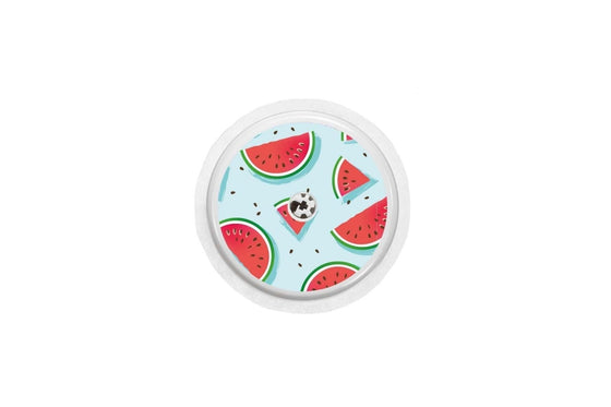 Watermelon Sticker for Libre 2 diabetes CGMs and insulin pumps