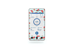Watermelon Sticker for Omnipod Dash PDM diabetes CGMs and insulin pumps
